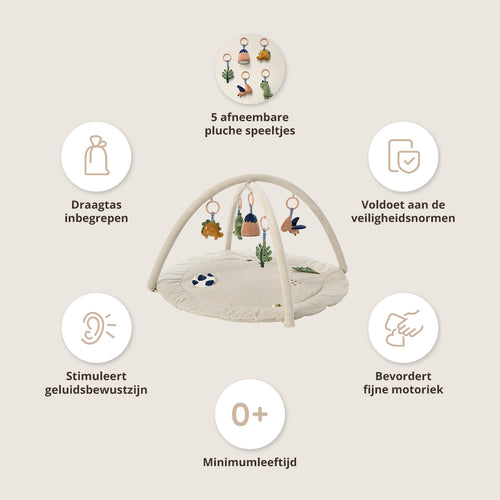 Petite Amélie Babygym DINO