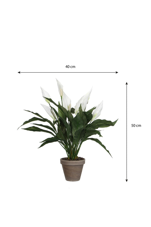 Mica Decorations Spathiphyllum Kunstplant in Bloempot Stan - H50 x Ø40 cm - Wit