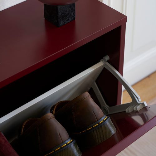 ReCollector Opbergdoos Schoenenbox Smal 70 x 20 x 40 cm – Rood