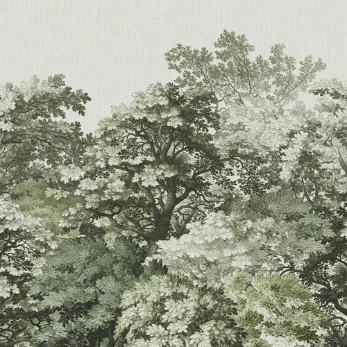 Art for the Home Fotobehang - Forest Canopy  - 300x280 - vtwonen shop