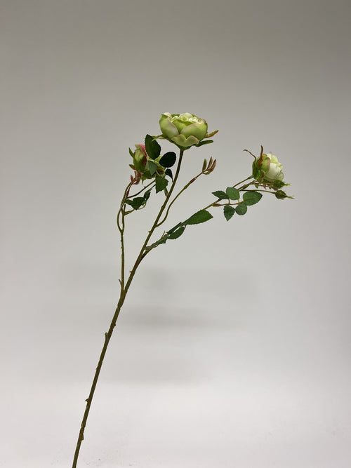 My Flowers.shop Groene roos zijden bloem | Lengte 70 centimeter | Per stuk - vtwonen shop