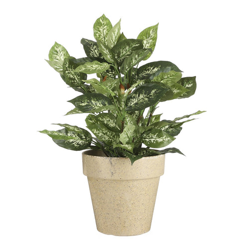 Mica Decorations Dieffenbachia Kunstplant in Bloempot Stan - H70 x Ø55 cm - Groen