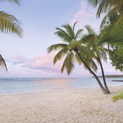 Sanders & Sanders fotobehang strand groen, blauw en zandkleurig - 400 x 250 cm - 612542