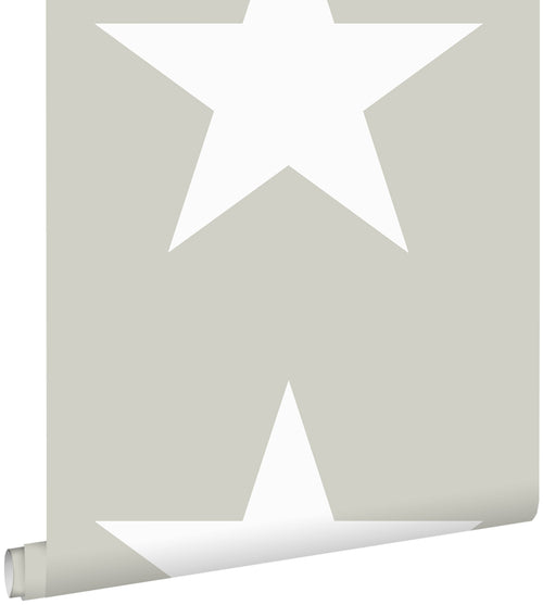 ESTAhome behang sterren donker beige - 53 cm x 10.05 m - 138947