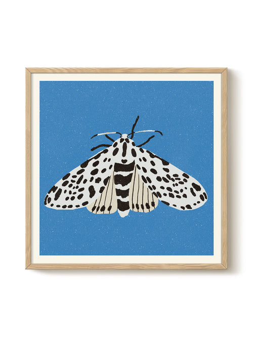 Enikő Eged - Tiger Moth - PSTR studio Kunst Poster - vtwonen shop