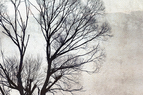 Canvas 60x40 Boom afdruk - vtwonen shop