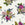 Joules Vliesbehang - Woodland Scene Dawn - 10mx52cm