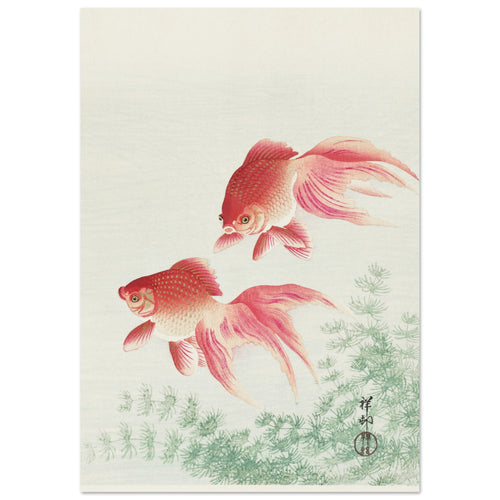 Artfulprints Poster Ohara Koson - Two veil goldfish   - A4 21x29.7 cm - Meerkleurig