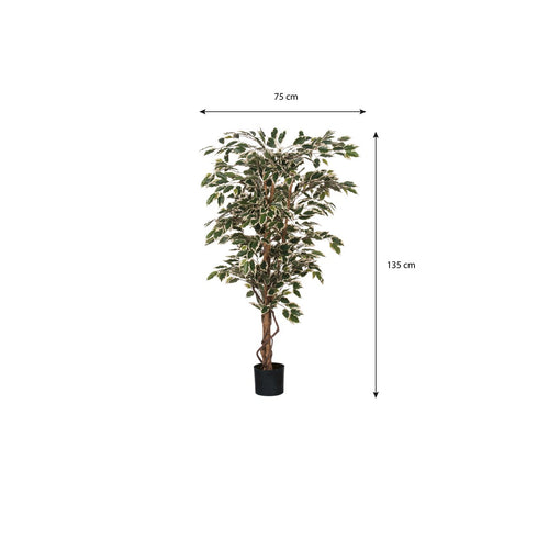 Mica Decorations Ficus Kunstplant - H150 x Ø75 cm - Groen Bont