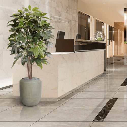 Maxifleur Scheflera Amate kunstboom 150cm
