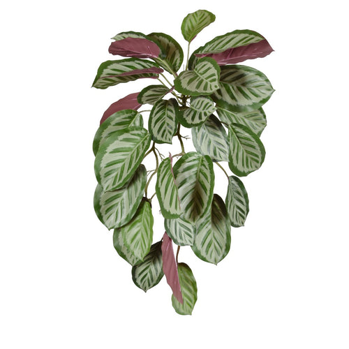 Maxifleur Calathea red Roseopicta kunst hangplant 70cm