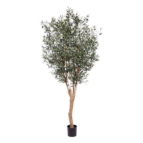 Maxifleur Olijf Deluxe kunstboom 250cm
