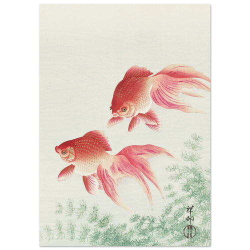Artfulprints Poster Ohara Koson - Two veil goldfish   - A4 21x29.7 cm - Meerkleurig