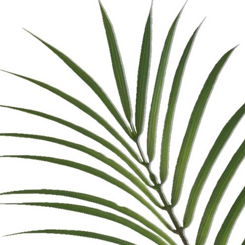 Flourify kunstplant - Phoenix palm - 150 cm - vtwonen shop