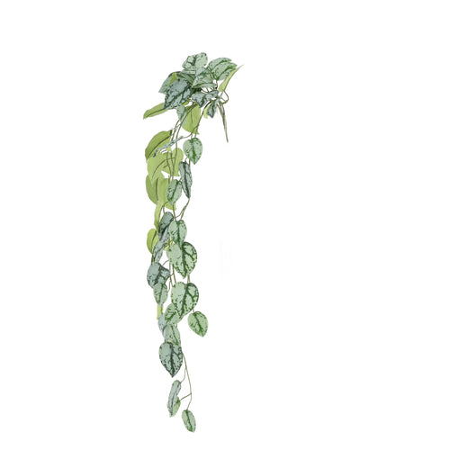 Maxifleur Scindapsus Pictus FR Kunsthanger 85cm