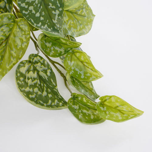 Mica Decorations Scindapsus Kunstplant in Bloempot Stan - H44 x Ø17 cm - Groen - vtwonen shop