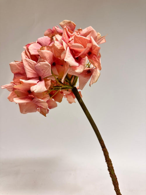 My Flowers.shop Oud roze hortensia zijden bloem | Lengte 50 centimeter | Per stuk - vtwonen shop