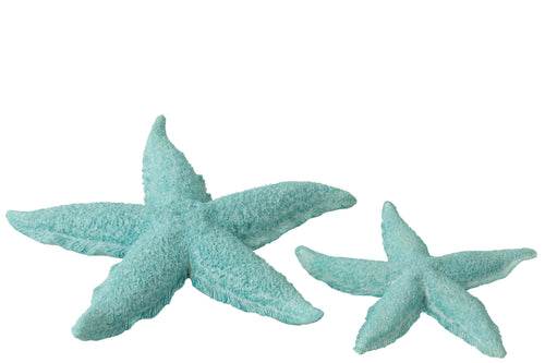 J-Line decoratie Zeester - polyresin - azuur - large - vtwonen shop