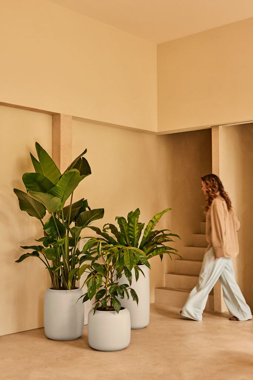 Elho Amber Beads Small Wit - Ø39cm - vtwonen shop