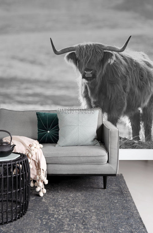 Sanders & Sanders fotobehang schotse hooglander zwart wit - 300 x 279 cm - 950001