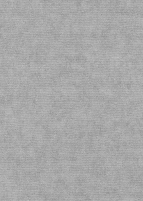 Erismann behang effen grijs - 53 cm x 10.05 m - 662401 - vtwonen shop