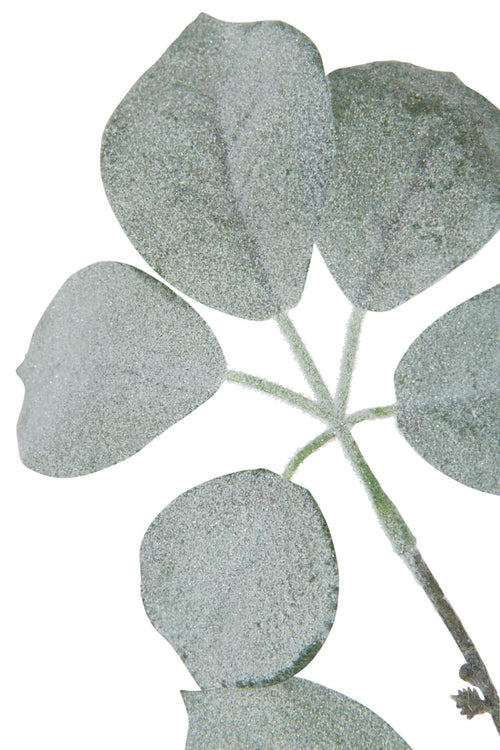 J-Line decoratie Tak Schefflera Gevlokt - kunststof - groen - 6 stuks