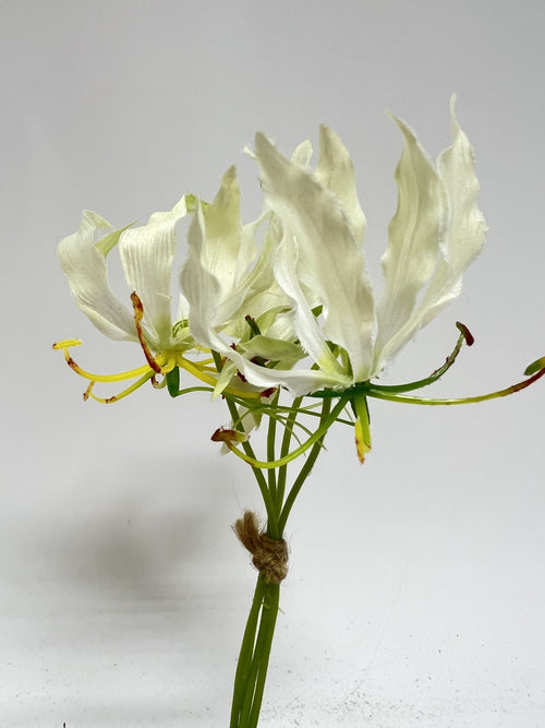 My Flowers.shop Witte gloriosa zijden bloem gebundeld | Lengte 20 centimeter | Per stuk - vtwonen shop