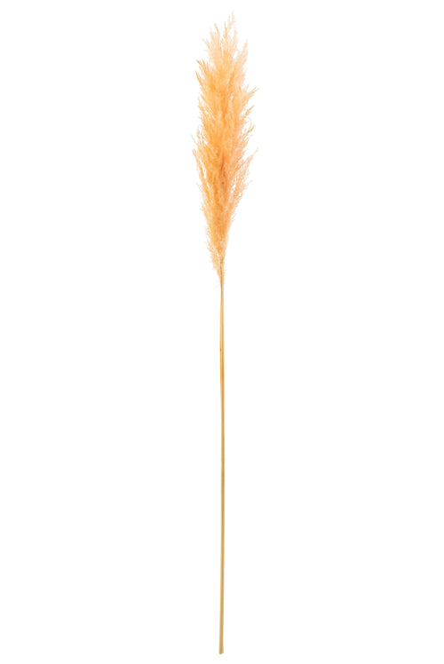 J-Line droogbloemen Tak Pampas - gedroogd pluim - lichtoranje - 12 stuks