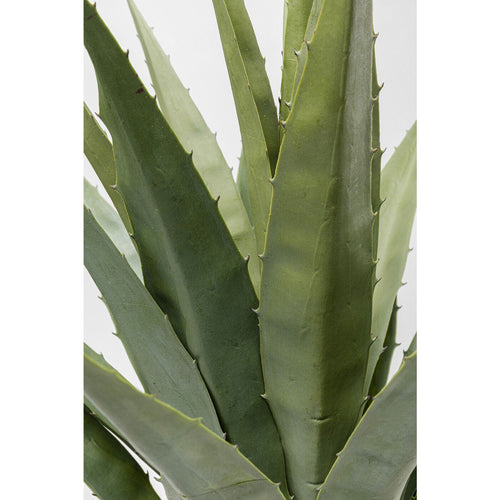 Kare Design Kunstplanten - agave - 85cm - vtwonen shop