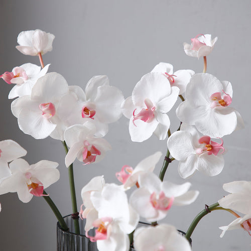 Sia Deco Orchidee Phalaenopsis Steel Kunstmatig - wit - H45 - vtwonen shop