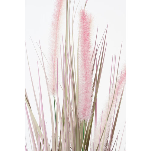 Mica Decorations Dogtail Gras Kunstplant - H53 x Ø30 cm - Paars