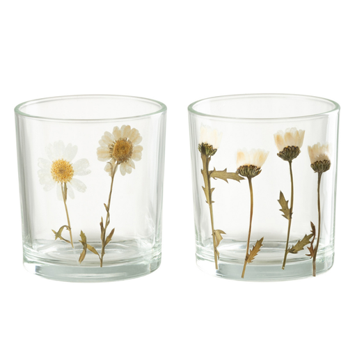 J-Line windlicht Bloem Madeliefje - glas - mix - small - 2 stuks