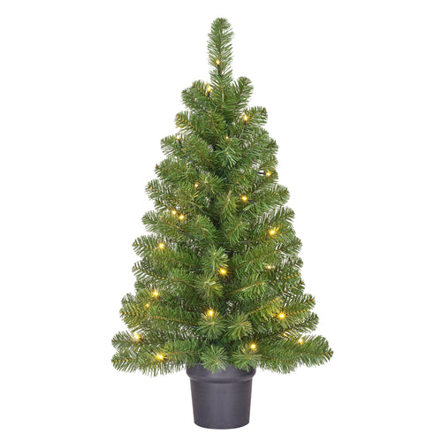 Black Box Trees Norton Kerstboom met Verlichting in Pot - op Batterij - Groen - h90xd50cm