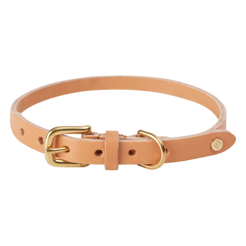 OYOY Hondenhalsband 46 x 2 cm – Bruin leer