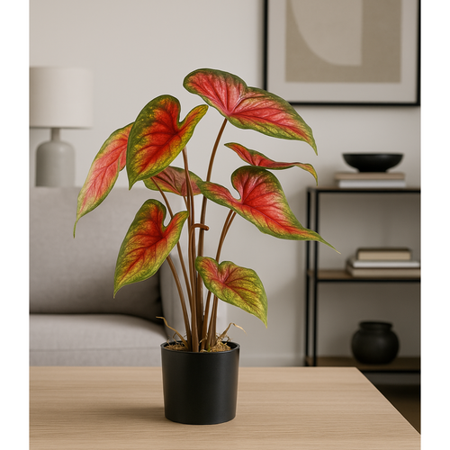 Flourify kunstplant - Caladium Red Flash - 55 cm