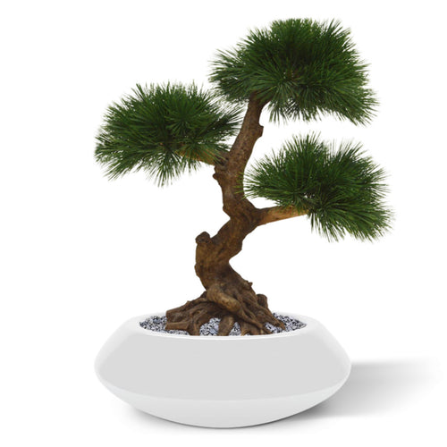 Maxifleur Pinus kunstbonsai 3 bollen 60cm - UV bestendig