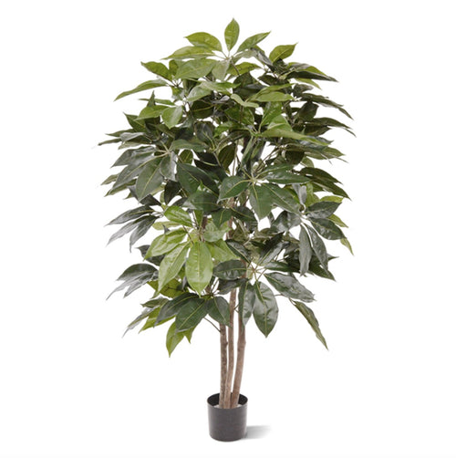 Maxifleur Scheflera Amate kunstboom 150cm