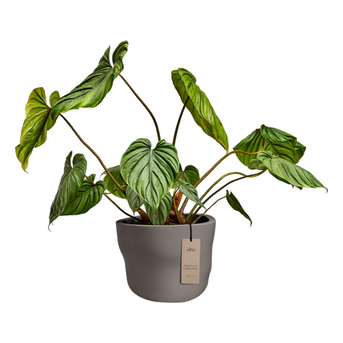 elho mura 40 burnt umber | Bloempot | Premium statementdesign