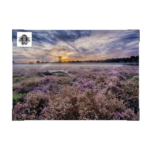 Art for the Home Buitencanvas - Lavendelveld - 50x70cm - vtwonen shop