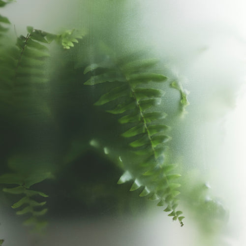 Gejst Vaas Glas
