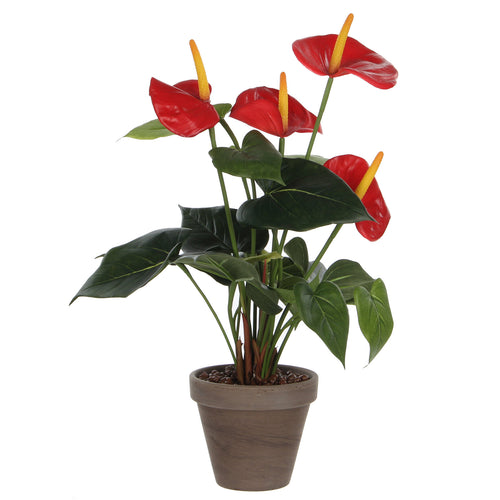Mica Decorations Anthurium Kunstplant in Bloempot Stan - H38 x Ø30 cm - Rood