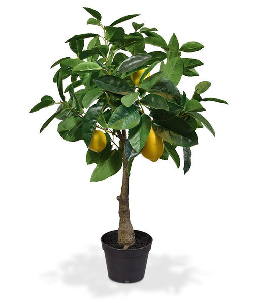 Maxifleur Citroen kunstplant 70cm