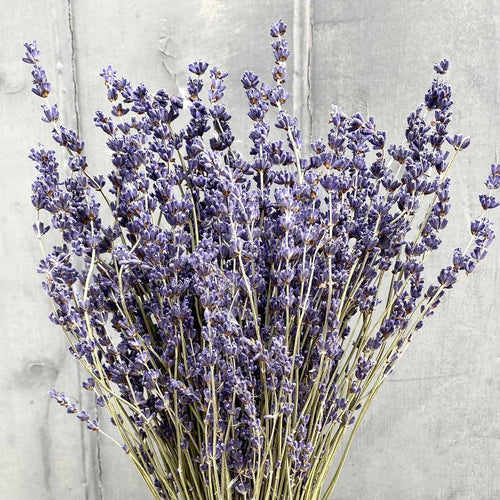 My Flowers.shop Twee bossen gedroogde Lavendel | 100 gram per bos | Super Deal - vtwonen shop