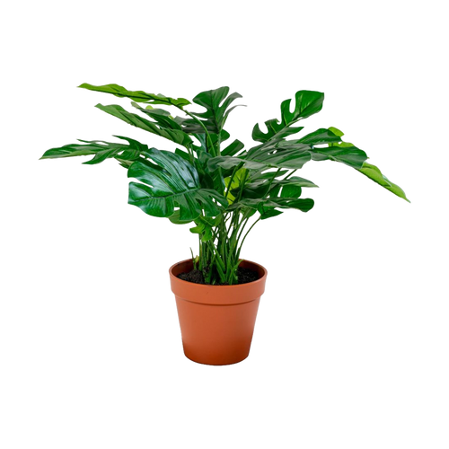 Artichok Denise Monstera kunstplant - 45 cm - vtwonen shop