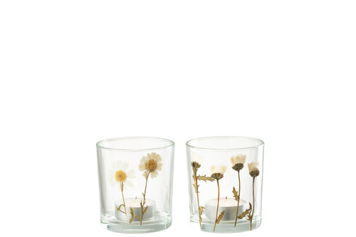 J-Line windlicht Bloem Madeliefje - glas - mix - small - 2 stuks