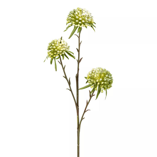 Flourify kunstbloem - Allium - 62 cm - bundel van 5 - vtwonen shop