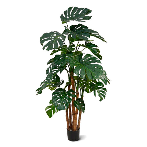 Maxifleur Monstera deluxe x5 kunstplant - 180cm