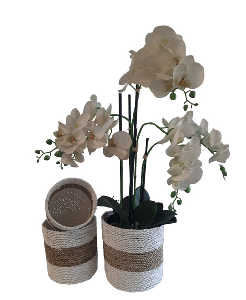 FurniLux Natuurlijke plantenbakken/ Mandenset - 20x20x21cm