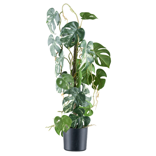 Flourify kunstplant - Philodendron Variegata - 66 cm - vtwonen shop