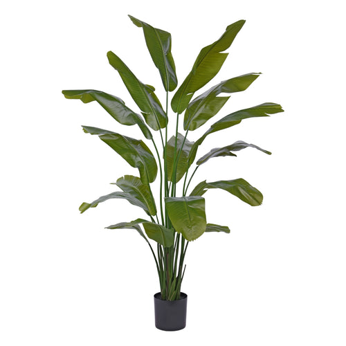 Maxifleur Traveller Palm promo 190cm